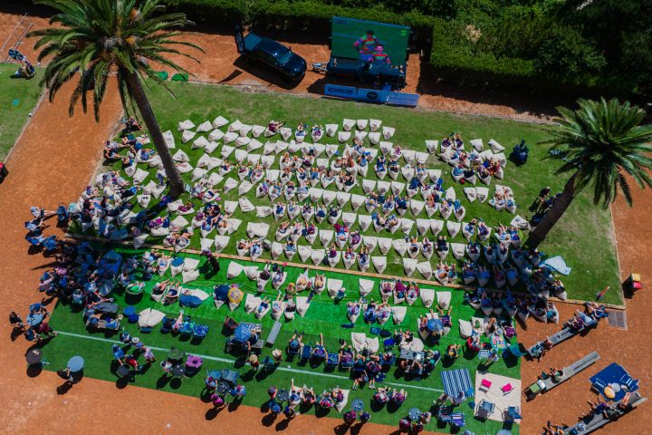 a close up of a flower garden